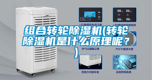 組合轉(zhuǎn)輪除濕機(轉(zhuǎn)輪除濕機是什么原理呢？)