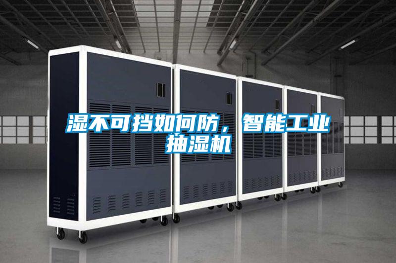 濕不可擋如何防，智能工業(yè)抽濕機(jī)