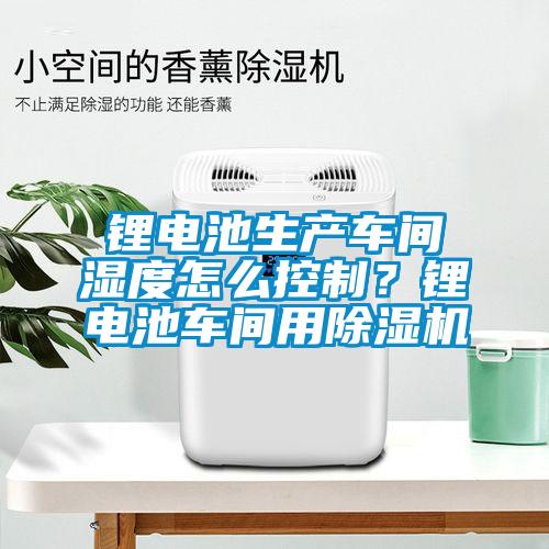 鋰電池生產(chǎn)車間濕度怎么控制？鋰電池車間用除濕機