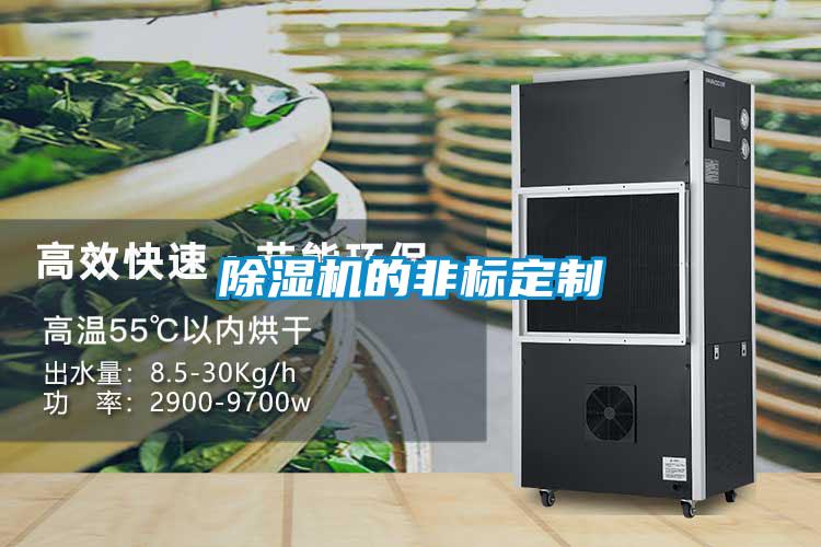 除濕機(jī)的非標(biāo)定制