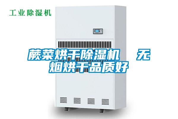 蕨菜烘干除濕機  無煙烘干品質(zhì)好
