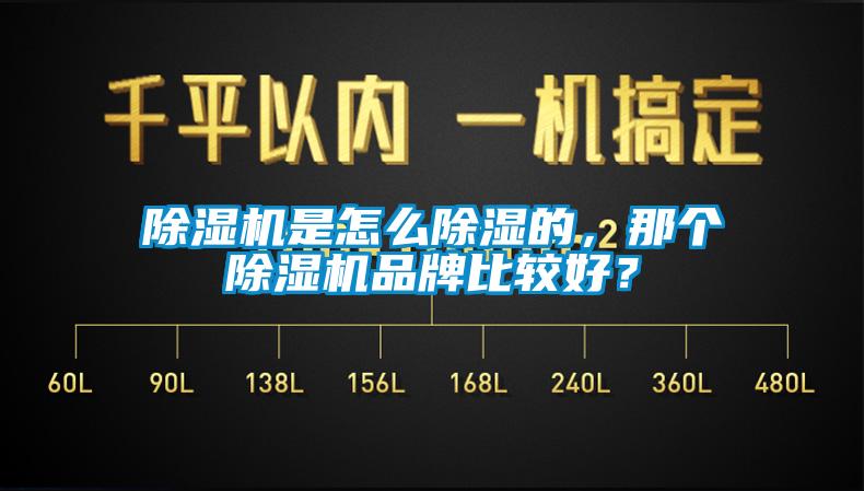 除濕機(jī)是怎么除濕的，那個(gè)除濕機(jī)品牌比較好？
