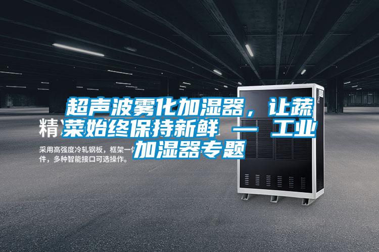 超聲波霧化加濕器，讓蔬菜始終保持新鮮 — 工業(yè)加濕器專題