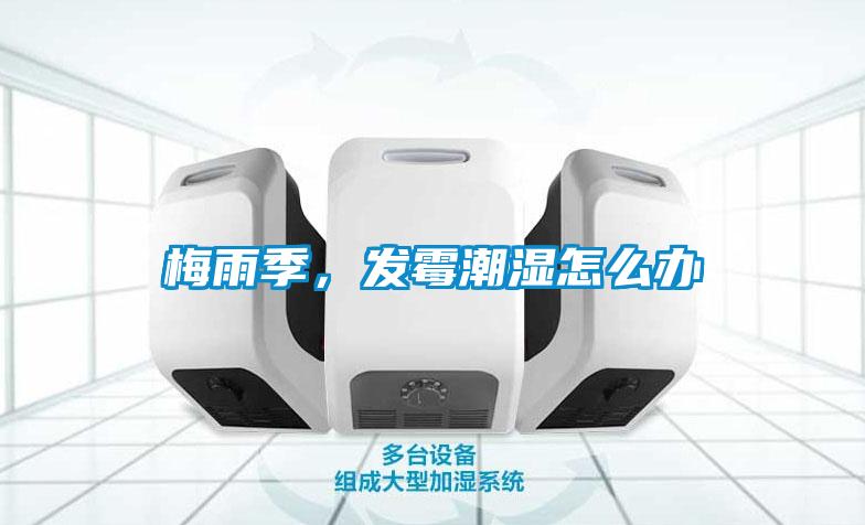 梅雨季，發(fā)霉潮濕怎么辦