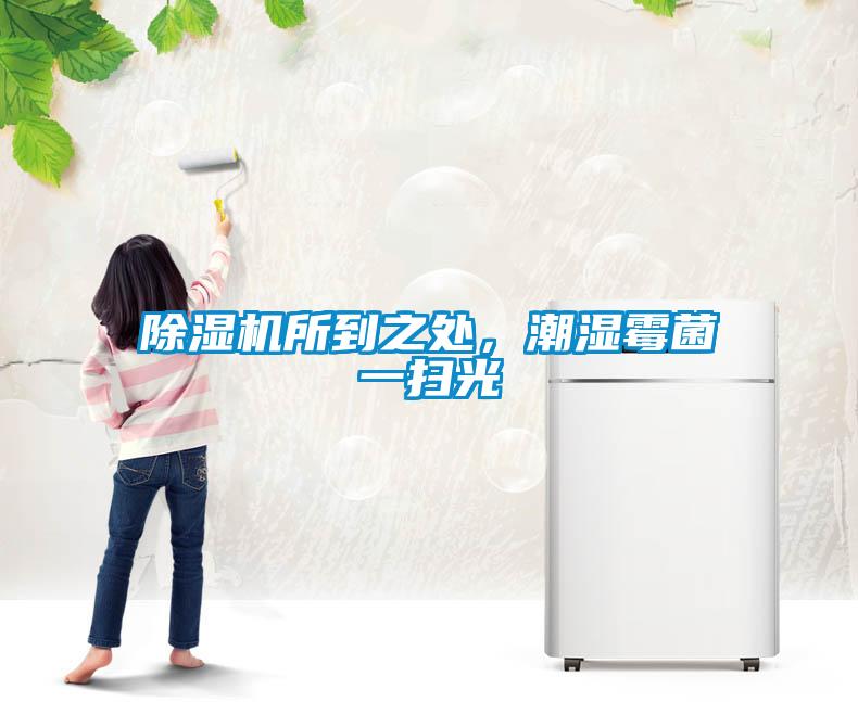 除濕機(jī)所到之處，潮濕霉菌一掃光