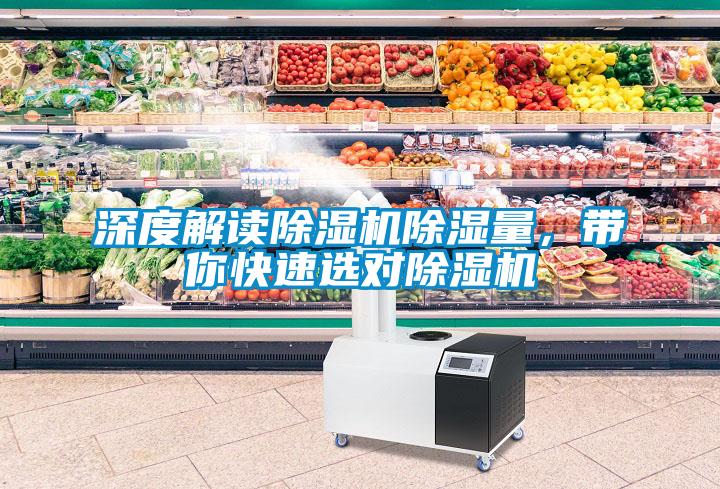 深度解讀除濕機除濕量，帶你快速選對除濕機