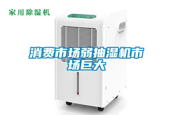 消費市場弱抽濕機(jī)市場巨大