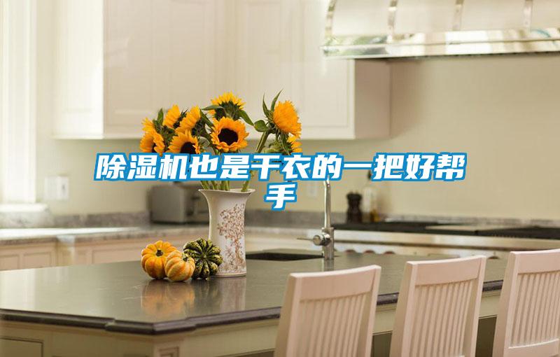 除濕機(jī)也是干衣的一把好幫手