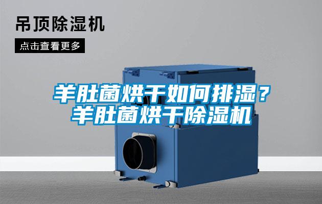羊肚菌烘干如何排濕？羊肚菌烘干除濕機(jī)