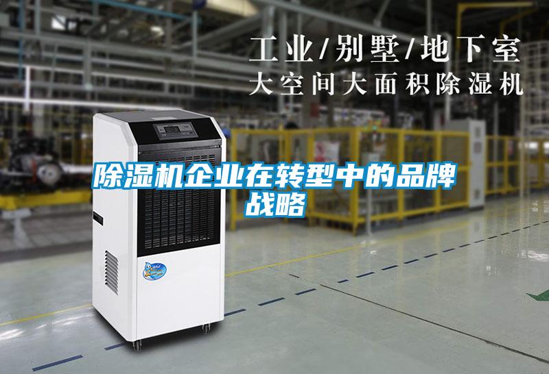 除濕機(jī)企業(yè)在轉(zhuǎn)型中的品牌戰(zhàn)略