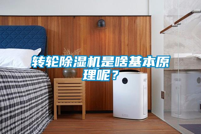 轉(zhuǎn)輪除濕機(jī)是啥基本原理呢？