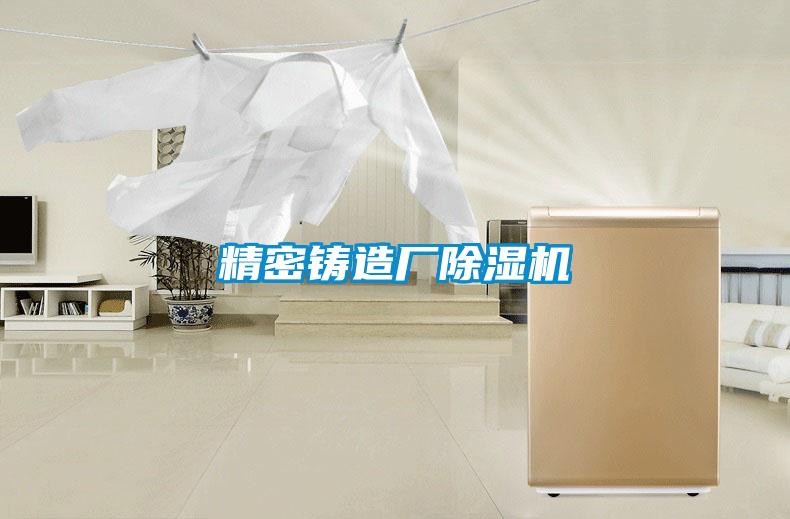 精密鑄造廠除濕機(jī)