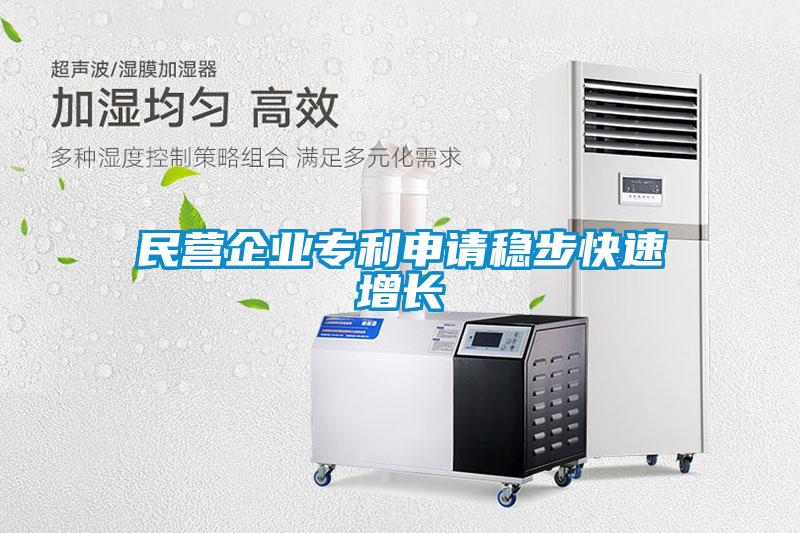 民營(yíng)企業(yè)專利申請(qǐng)穩(wěn)步快速增長(zhǎng)
