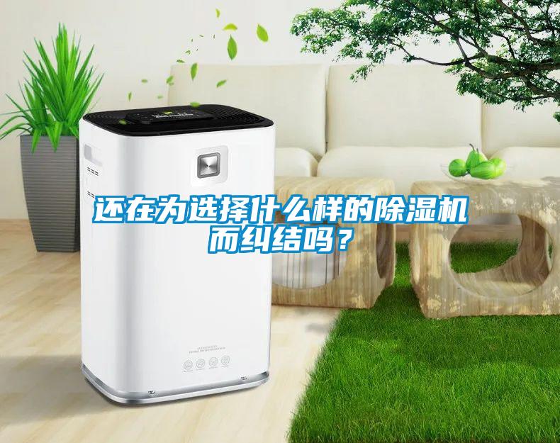 還在為選擇什么樣的除濕機(jī)而糾結(jié)嗎？