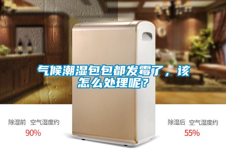 氣候潮濕包包都發(fā)霉了，該怎么處理呢？