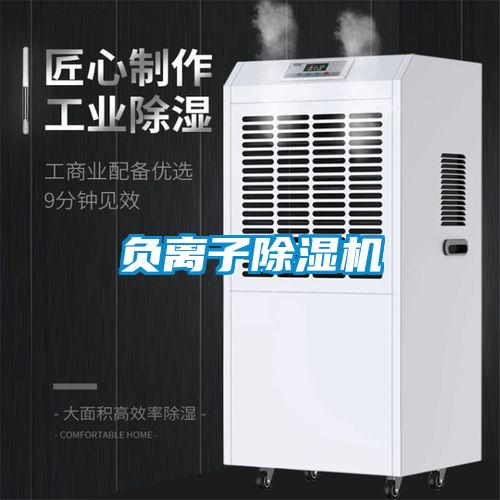 負(fù)離子除濕機(jī)