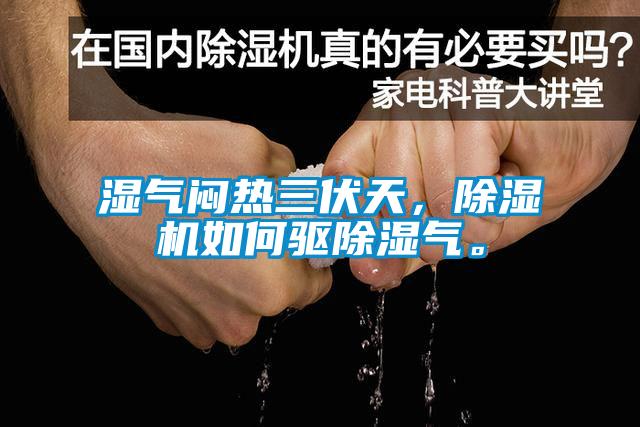 濕氣悶熱三伏天，除濕機(jī)如何驅(qū)除濕氣。