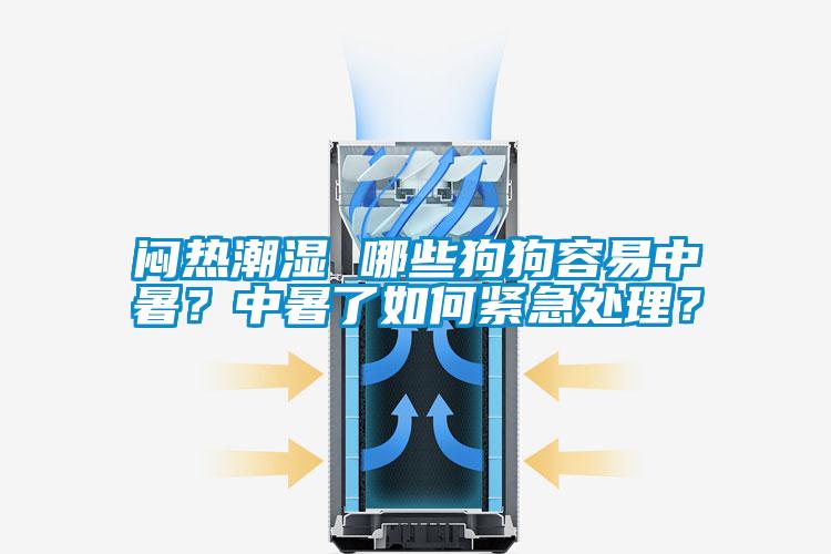 悶熱潮濕 哪些狗狗容易中暑？中暑了如何緊急處理？