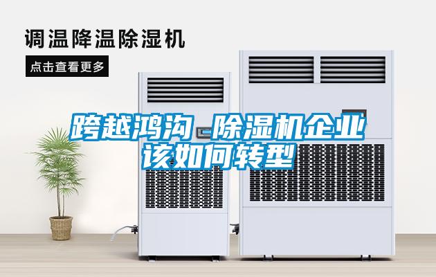 跨越鴻溝 除濕機(jī)企業(yè)該如何轉(zhuǎn)型
