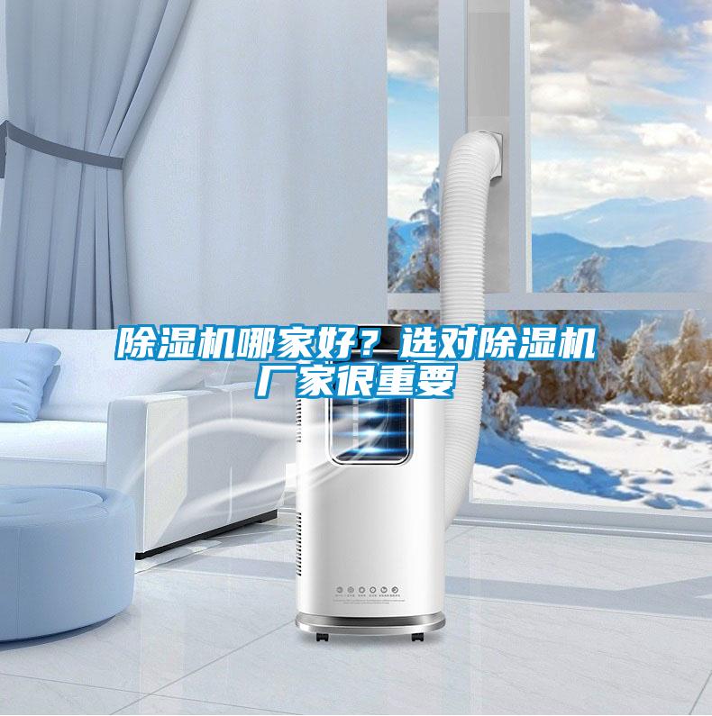 除濕機哪家好？選對除濕機廠家很重要