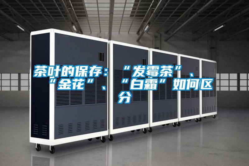 茶葉的保存：“發(fā)霉茶”、“金花”、“白霜”如何區(qū)分