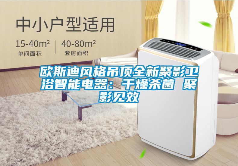 歐斯迪風(fēng)格吊頂全新聚影衛(wèi)浴智能電器：干燥殺菌 聚影見效