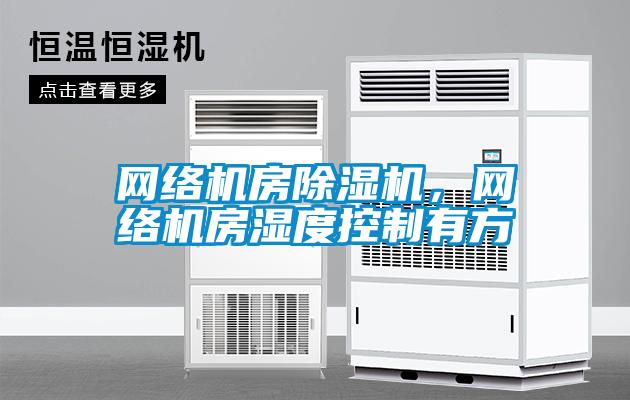 網(wǎng)絡(luò)機(jī)房除濕機(jī)，網(wǎng)絡(luò)機(jī)房濕度控制有方