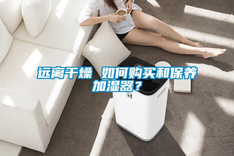 遠離干燥 如何購買和保養(yǎng)加濕器？