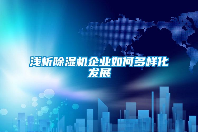 淺析除濕機企業(yè)如何多樣化發(fā)展