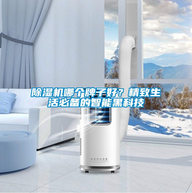 除濕機(jī)哪個(gè)牌子好？精致生活必備的智能黑科技