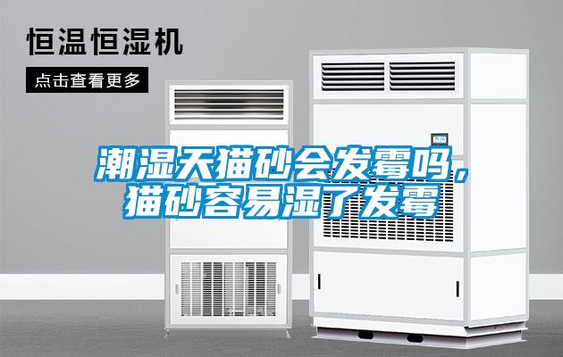 潮濕天貓砂會(huì)發(fā)霉嗎，貓砂容易濕了發(fā)霉