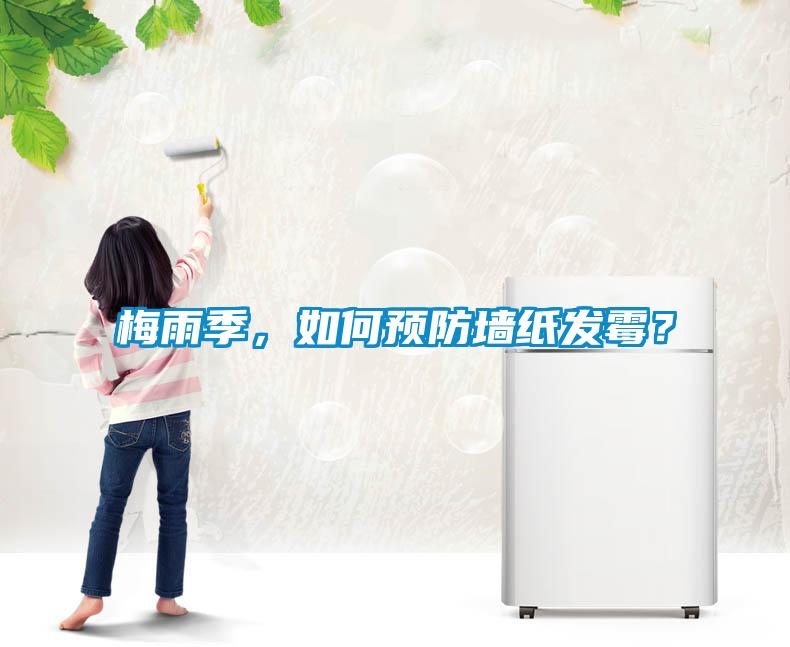 梅雨季，如何預(yù)防墻紙發(fā)霉？