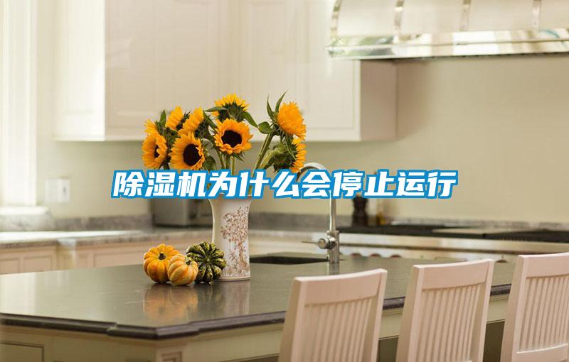 除濕機(jī)為什么會(huì)停止運(yùn)行