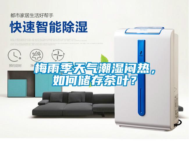 梅雨季天氣潮濕悶熱，如何儲存茶葉？