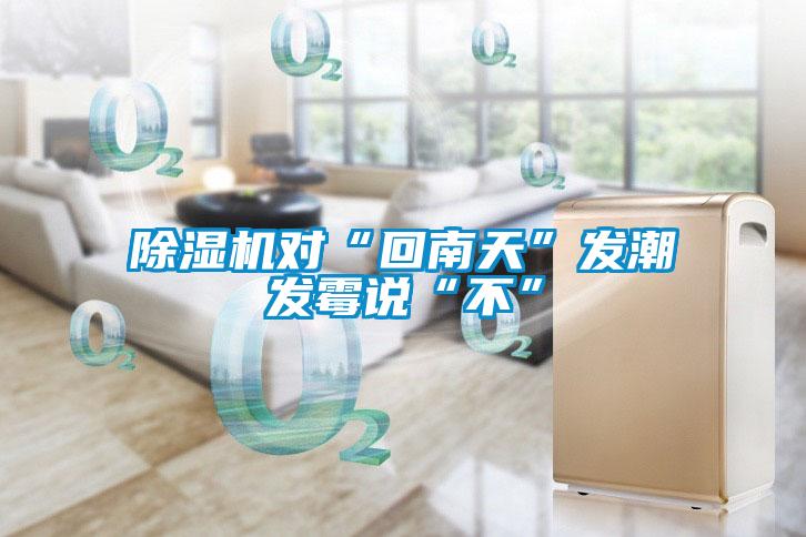 除濕機(jī)對“回南天”發(fā)潮發(fā)霉說“不”