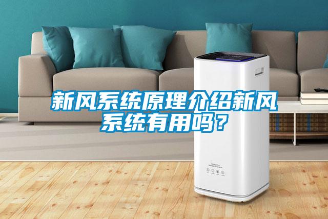 新風(fēng)系統(tǒng)原理介紹新風(fēng)系統(tǒng)有用嗎？