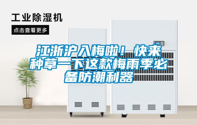 江浙滬入梅啦！快來種草一下這款梅雨季必備防潮利器