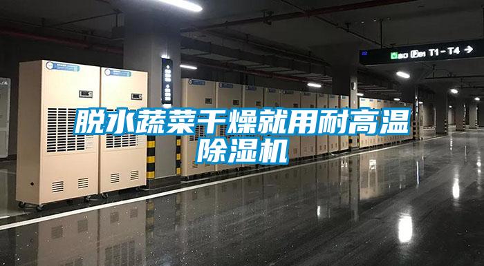 脫水蔬菜干燥就用耐高溫除濕機(jī)