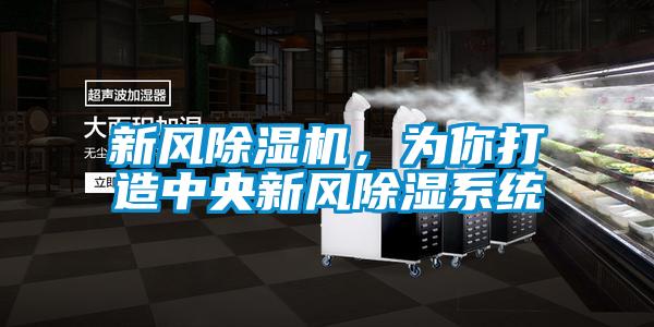 新風(fēng)除濕機(jī)，為你打造中央新風(fēng)除濕系統(tǒng)