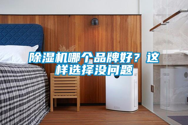 除濕機哪個品牌好？這樣選擇沒問題