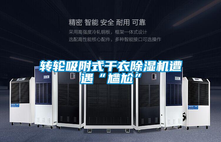 轉(zhuǎn)輪吸附式干衣除濕機遭遇“尷尬”