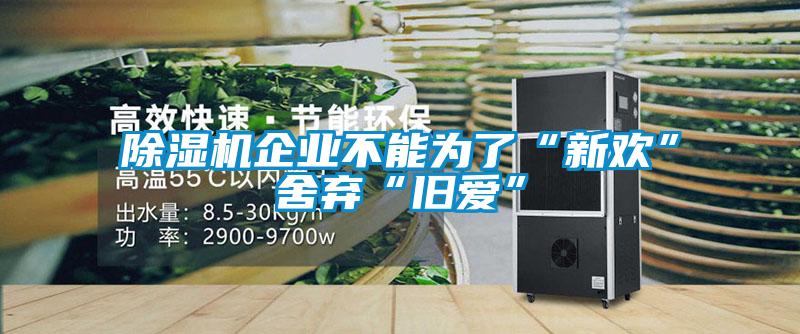 除濕機(jī)企業(yè)不能為了“新歡”舍棄“舊愛”