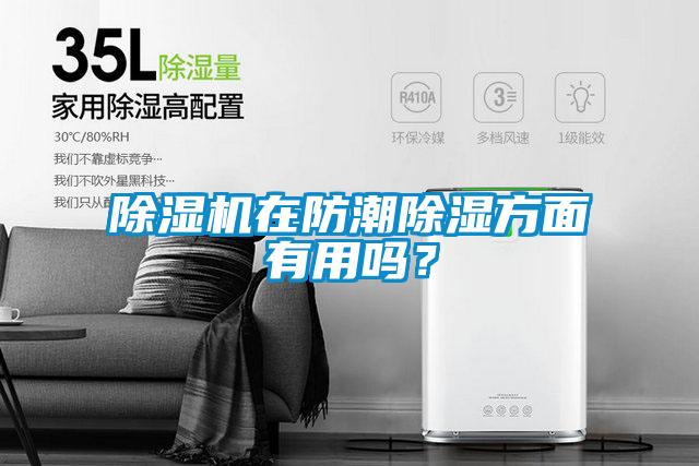 除濕機(jī)在防潮除濕方面有用嗎？