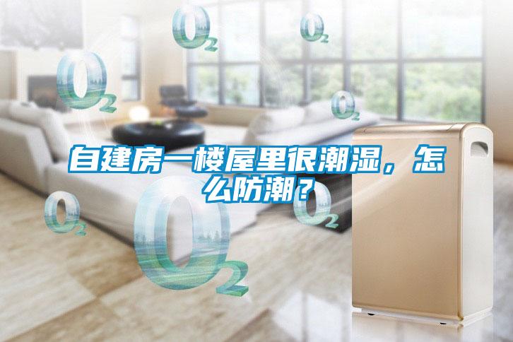自建房一樓屋里很潮濕，怎么防潮？