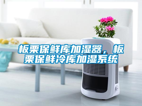板栗保鮮庫加濕器，板栗保鮮冷庫加濕系統(tǒng)