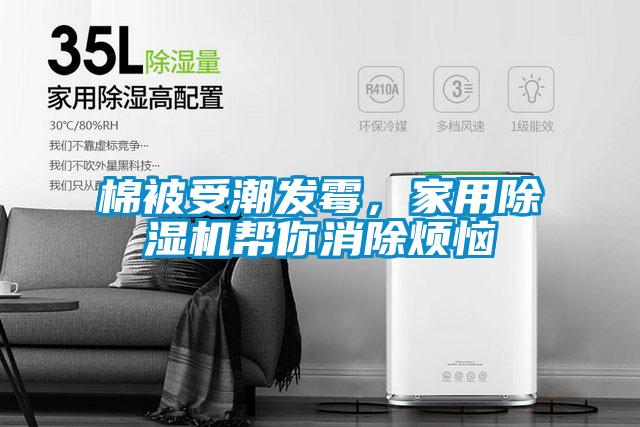 棉被受潮發(fā)霉，家用除濕機幫你消除煩惱