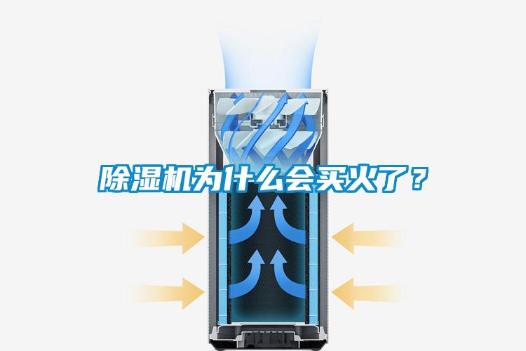 除濕機為什么會買火了？