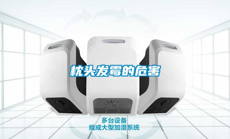 枕頭發(fā)霉的危害