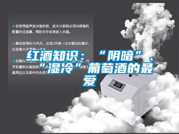 紅酒知識：“陰暗”、“濕冷”葡萄酒的最愛