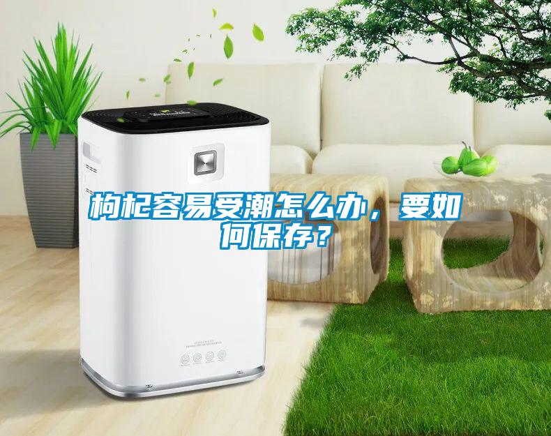 枸杞容易受潮怎么辦，要如何保存？